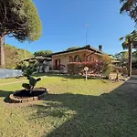 Palm *